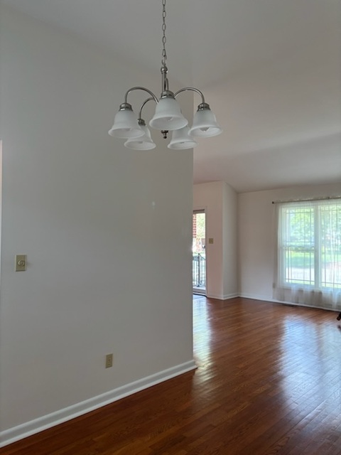 Gallery Photo 8